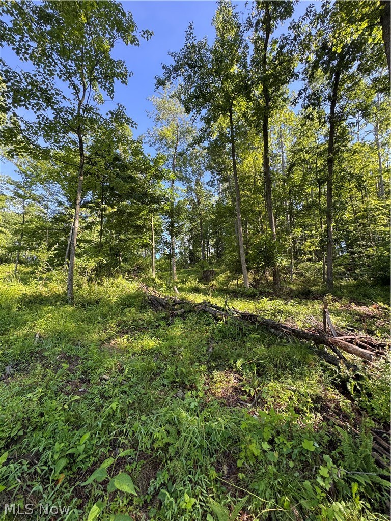 Stone Quarry Road Danville OH 43014