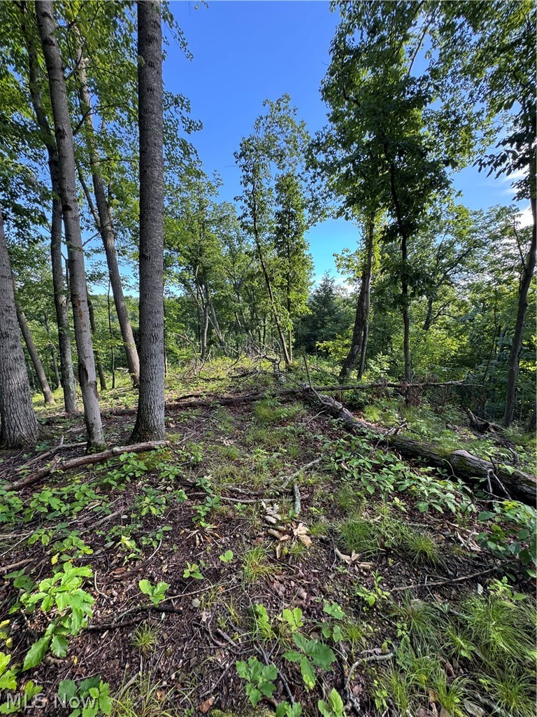 Stone Quarry Road Danville OH 43014