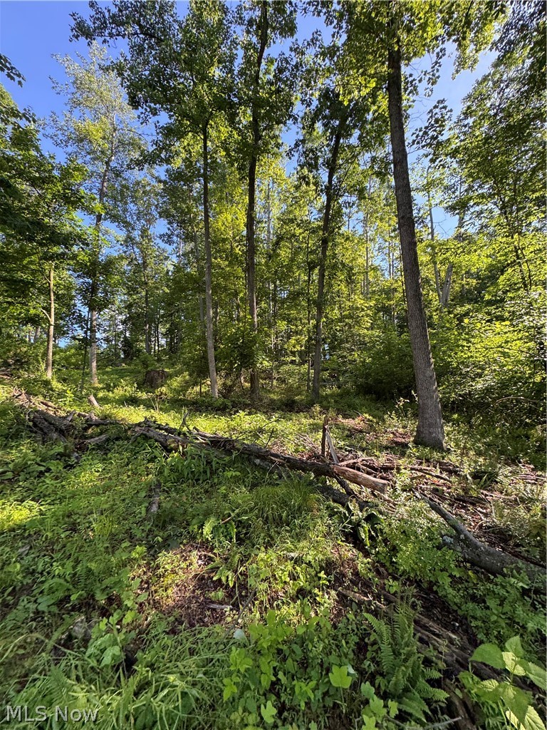 Stone Quarry Road Danville OH 43014