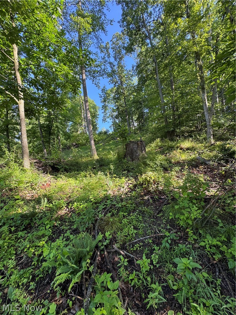 Stone Quarry Road Danville OH 43014