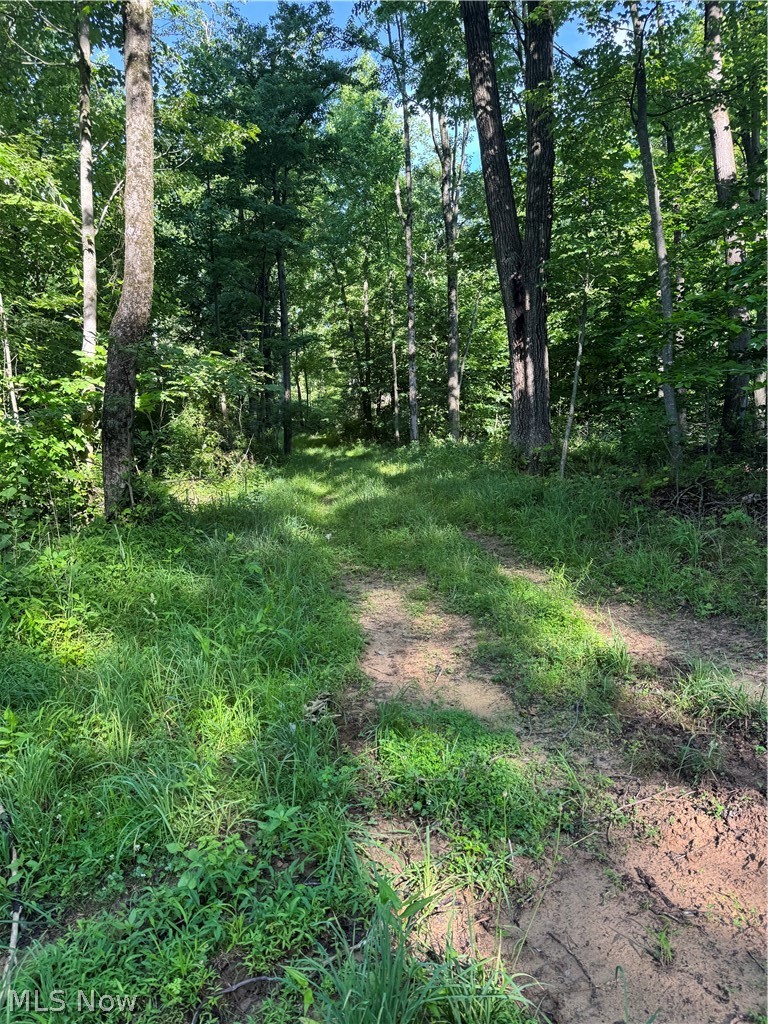 Stone Quarry Road Danville OH 43014