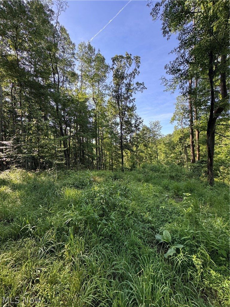 Stone Quarry Road Danville OH 43014