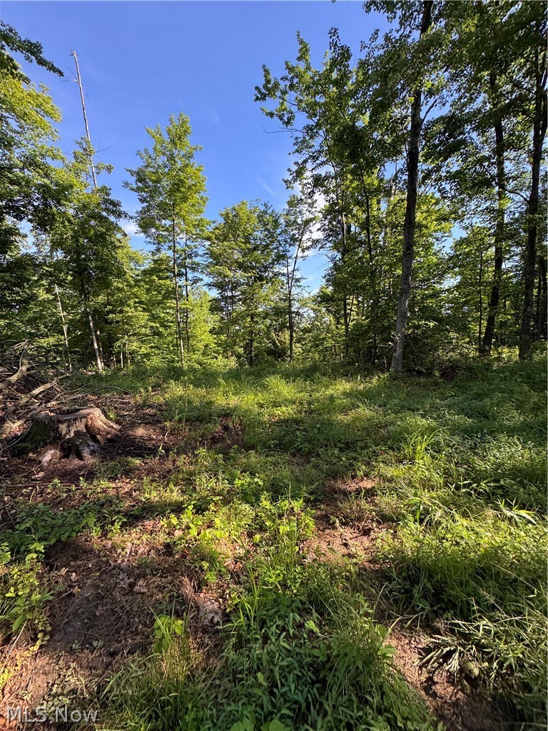 Stone Quarry Road Danville OH 43014