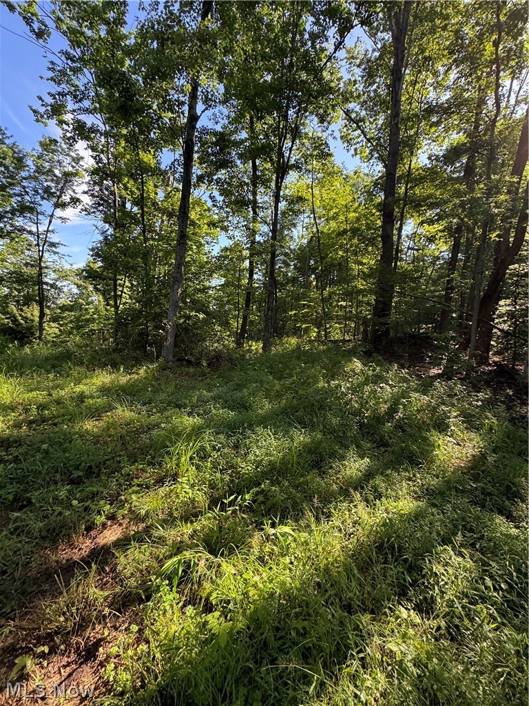 Stone Quarry Road Danville OH 43014