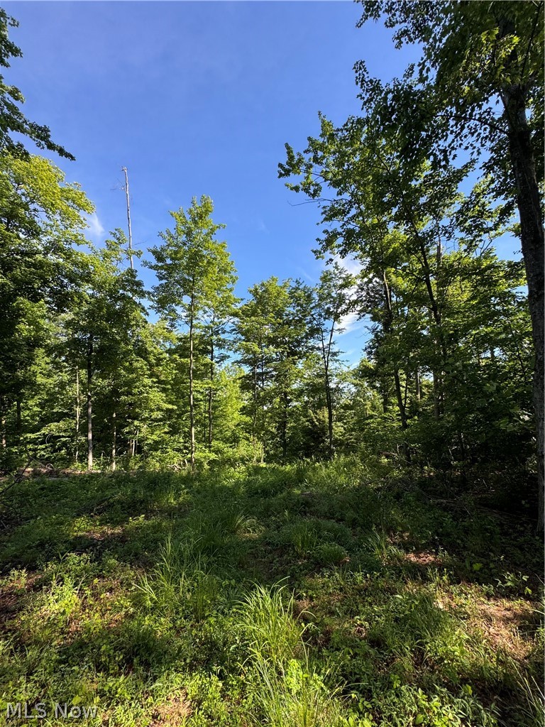 Stone Quarry Road Danville OH 43014