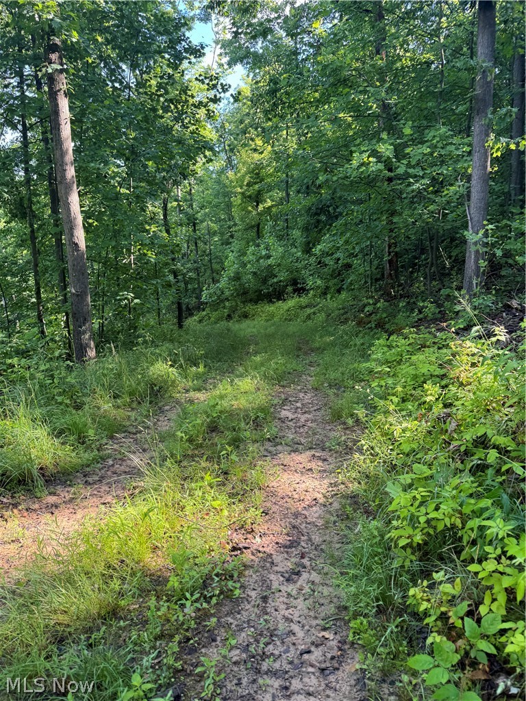 Stone Quarry Road Danville OH 43014