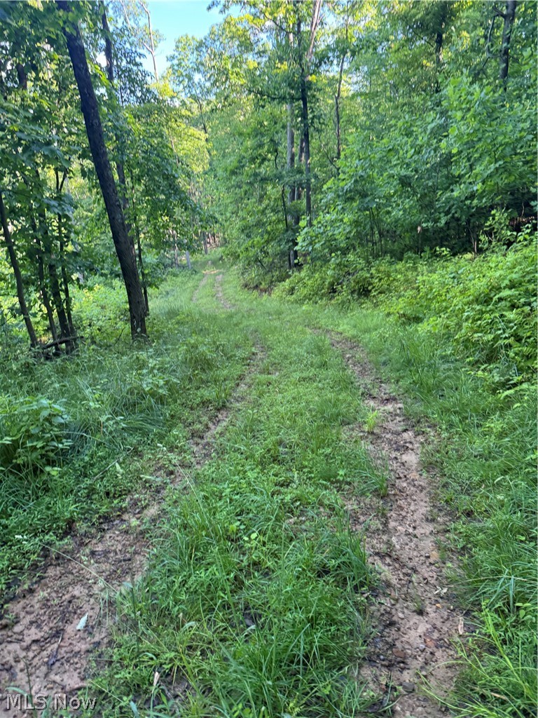 Stone Quarry Road Danville OH 43014