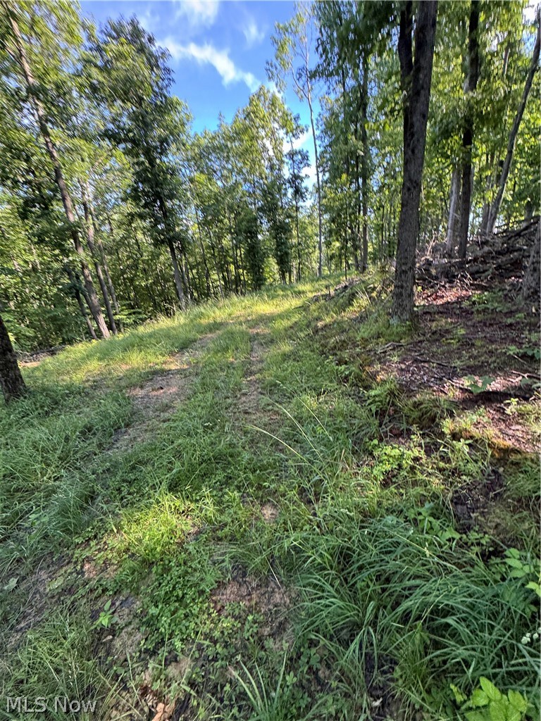 Stone Quarry Road Danville OH 43014