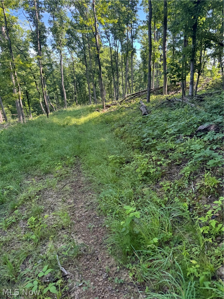 Stone Quarry Road Danville OH 43014