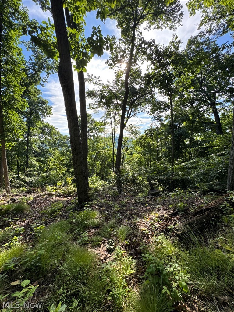 Stone Quarry Road Danville OH 43014