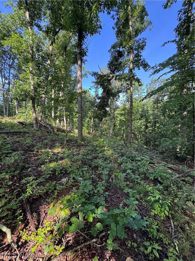 Stone Quarry Road Danville OH 43014