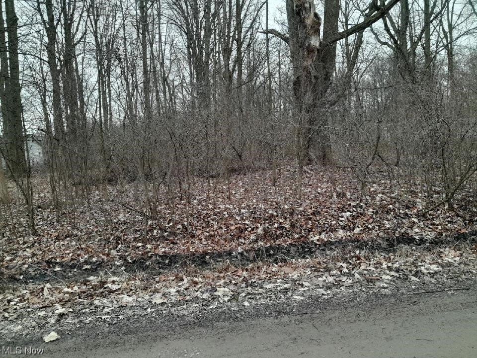 Lakeview Road West Farmington OH 44491
