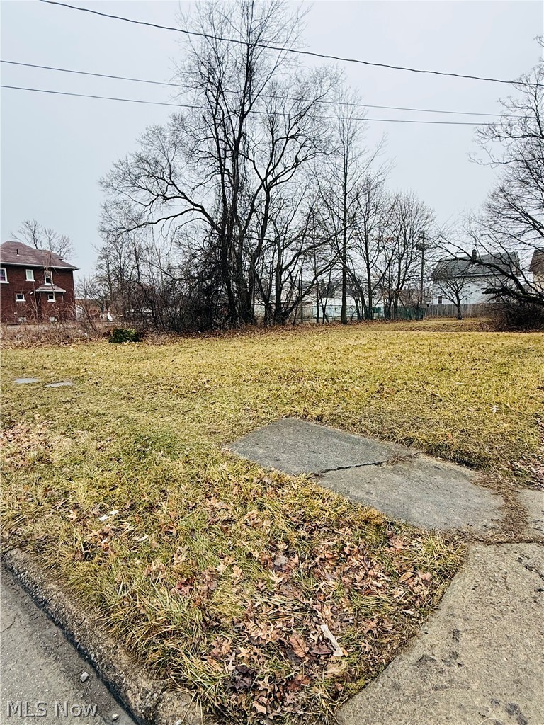 Apple Avenue Lorain OH 44055