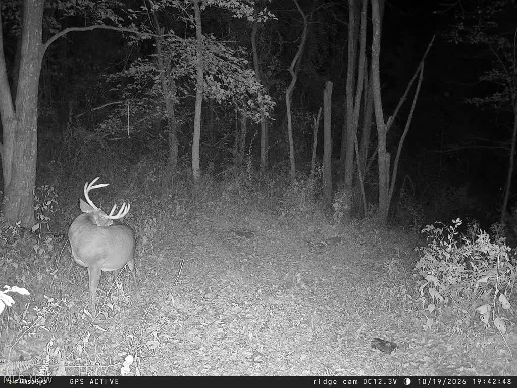 Trail 90 Fresno OH 43824