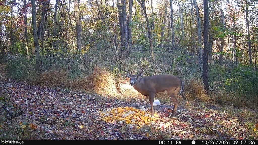 Trail 90 Fresno OH 43824