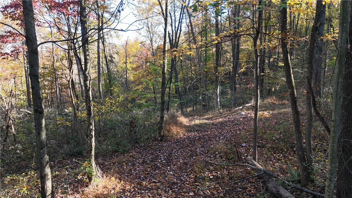 Trail 90 Fresno OH 43824