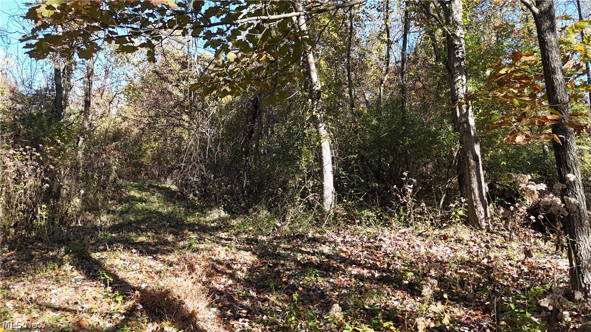 Trail 90 Fresno OH 43824