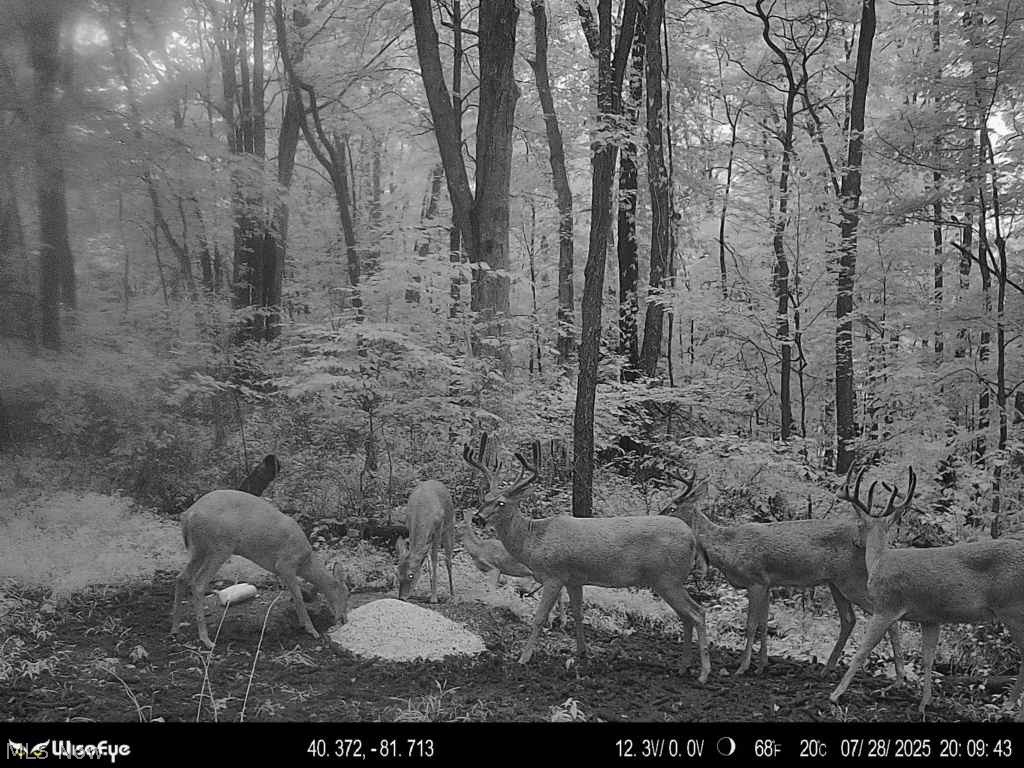 Trail 90 Fresno OH 43824