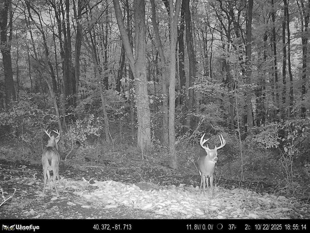 Trail 90 Fresno OH 43824