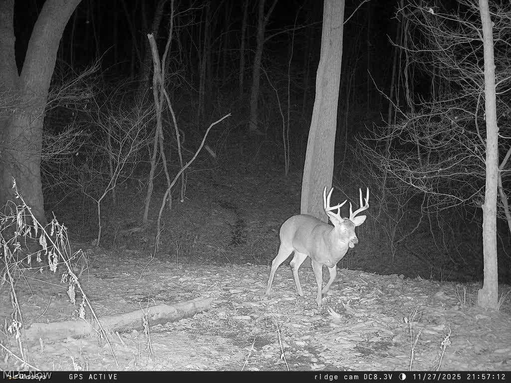 Trail 90 Fresno OH 43824