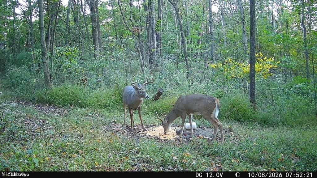 Trail 90 Fresno OH 43824