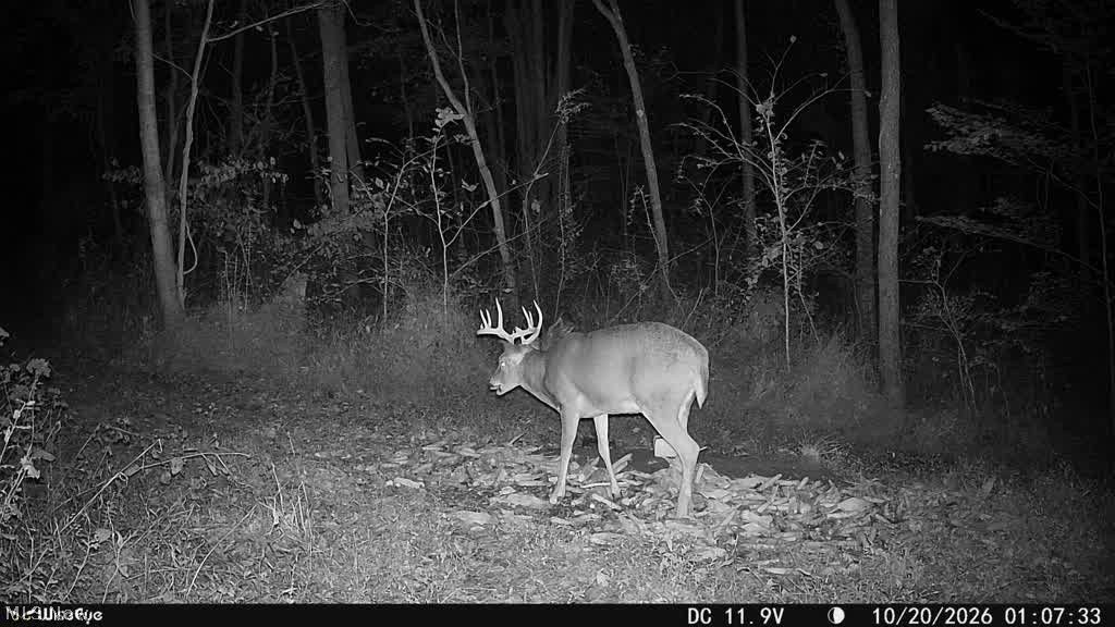 Trail 90 Fresno OH 43824
