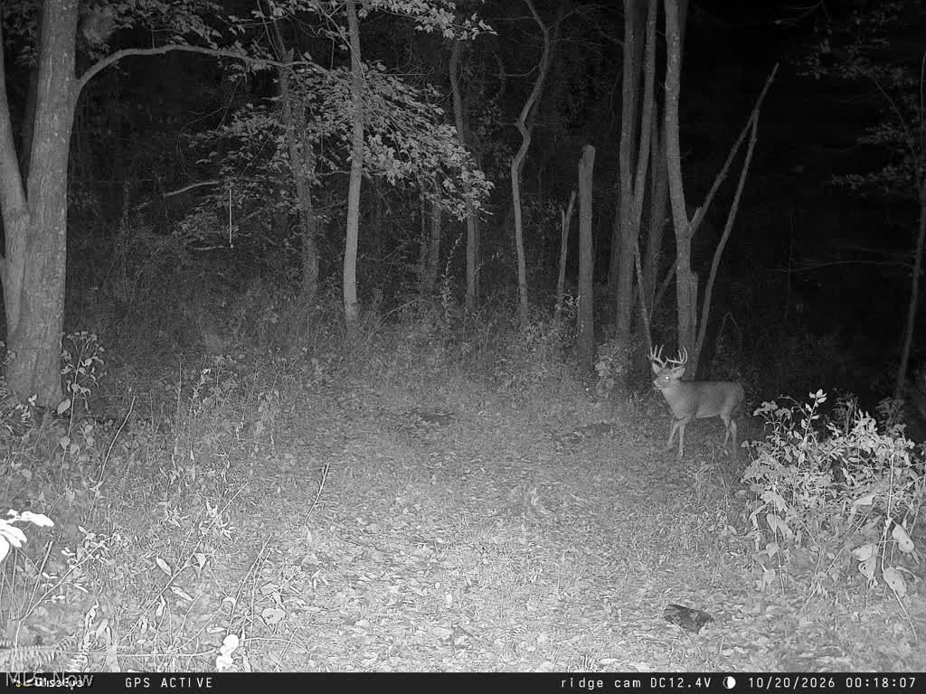 Trail 90 Fresno OH 43824