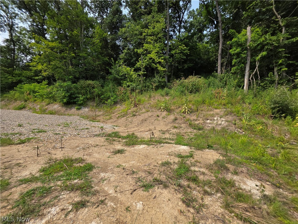 1605 Gilbert Road Zanesville OH 43701