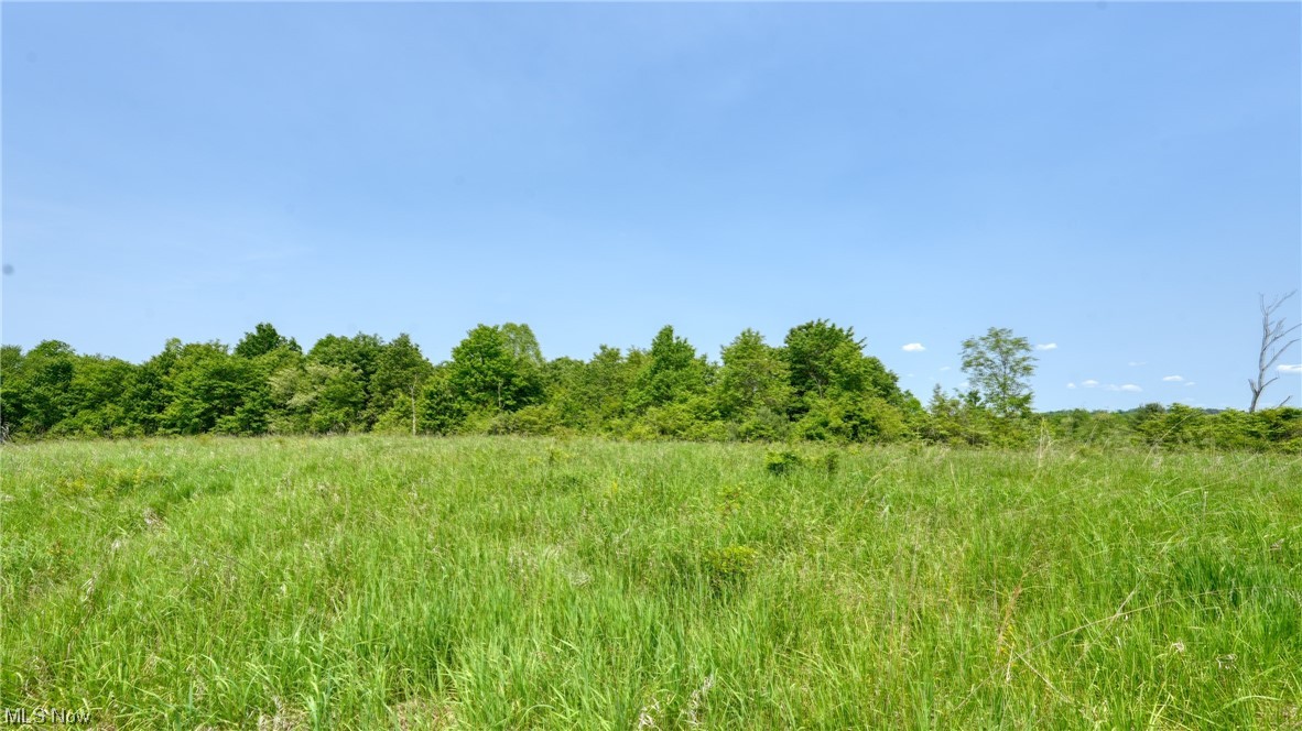 63620 Wintergreen Road Lore City OH 43755