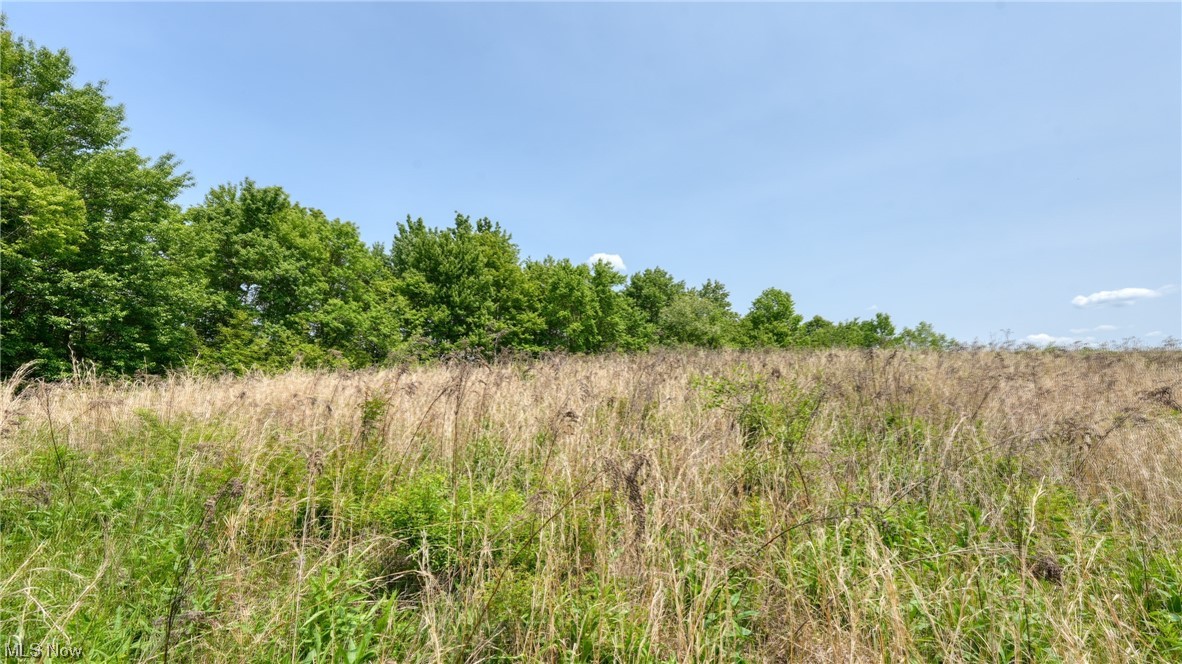 63620 Wintergreen Road Lore City OH 43755