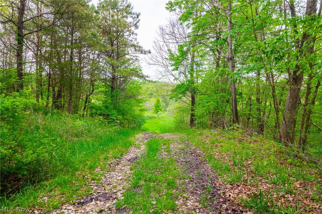 60936 Patch Road New Concord OH 43762