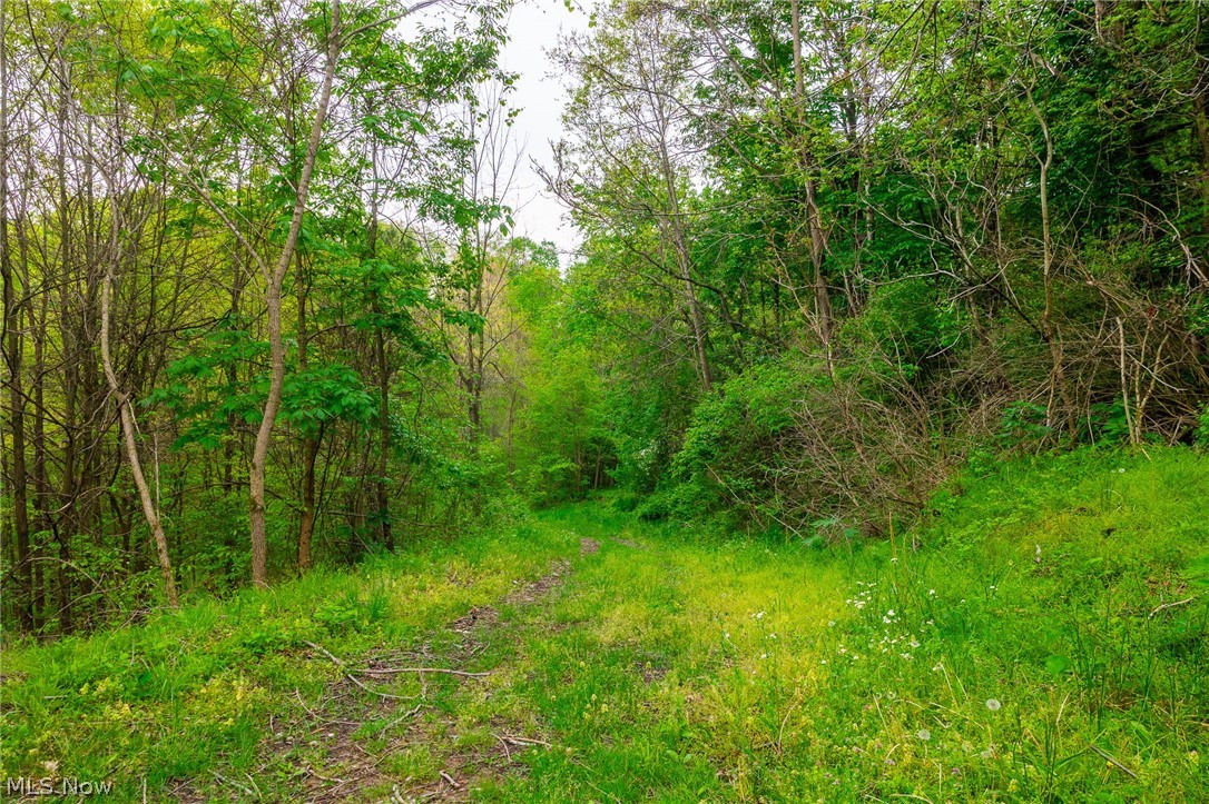 60936 Patch Road New Concord OH 43762