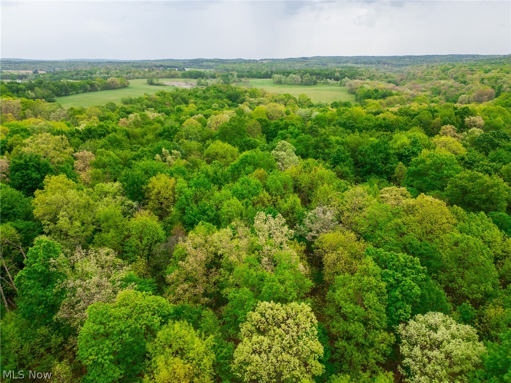 Emerick Road Salineville OH 43945