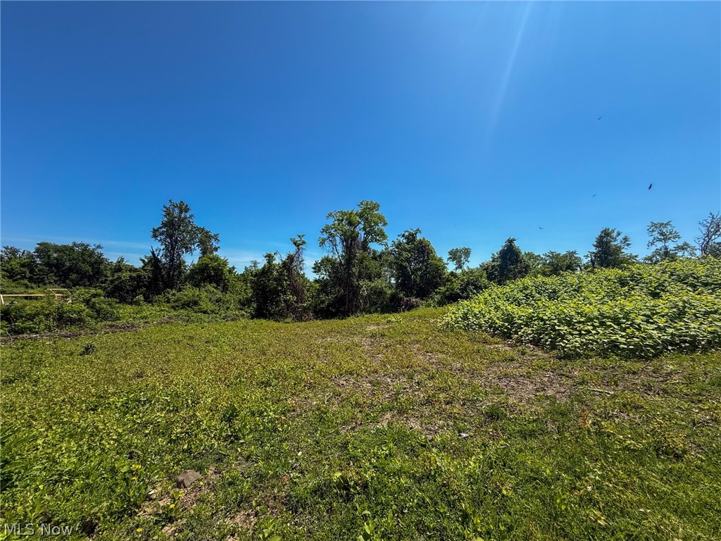 Lot 3 Altamont Road Mingo Junction OH 43938