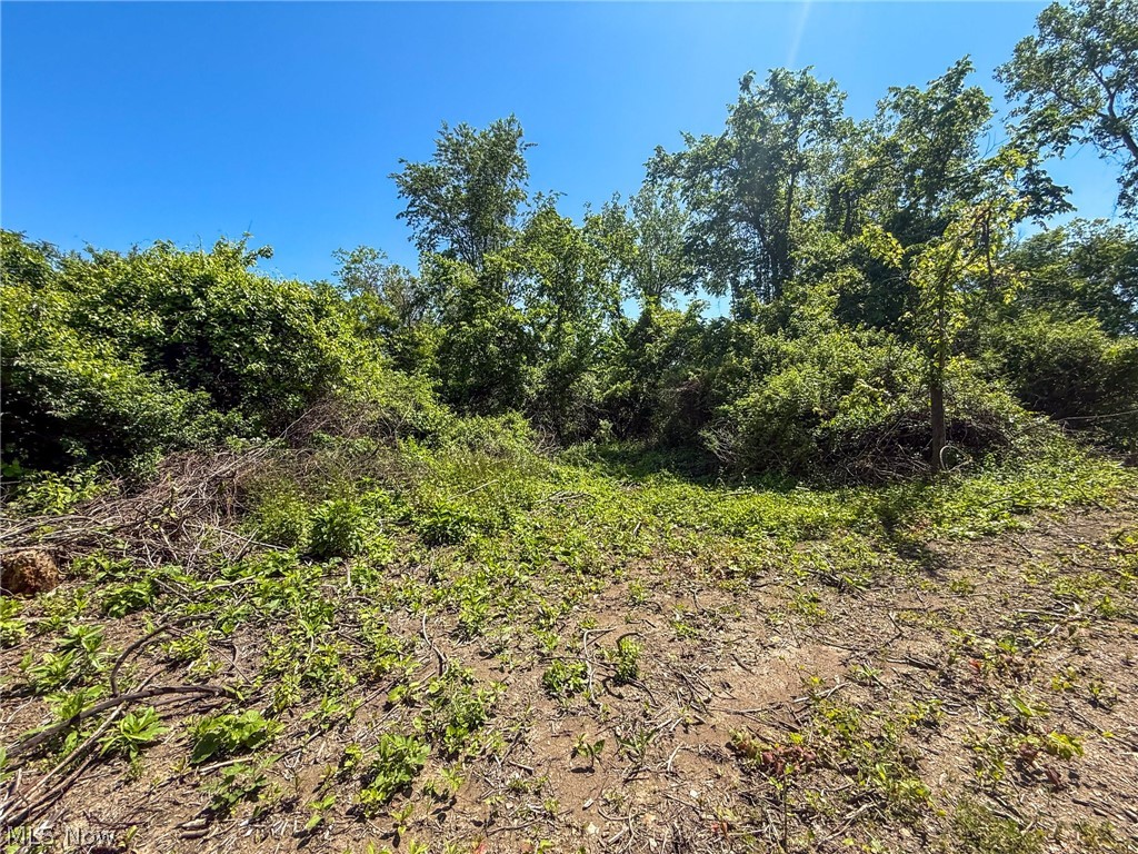 Lot 3 Altamont Road Mingo Junction OH 43938