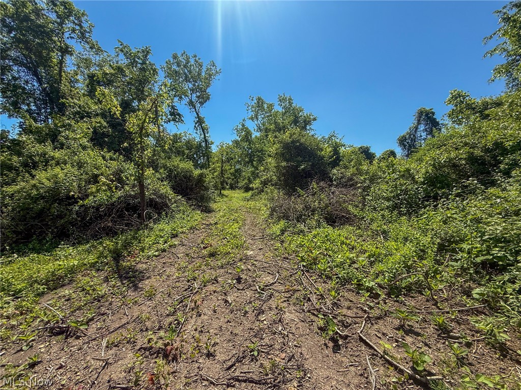 Lot 3 Altamont Road Mingo Junction OH 43938