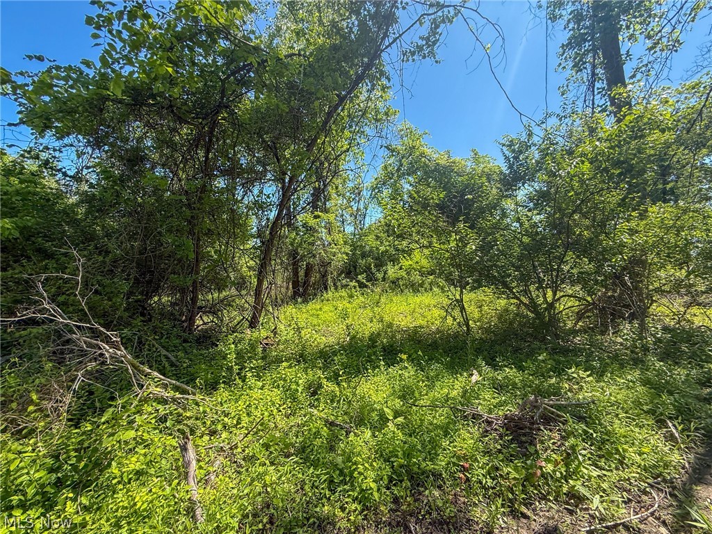 Lot 3 Altamont Road Mingo Junction OH 43938