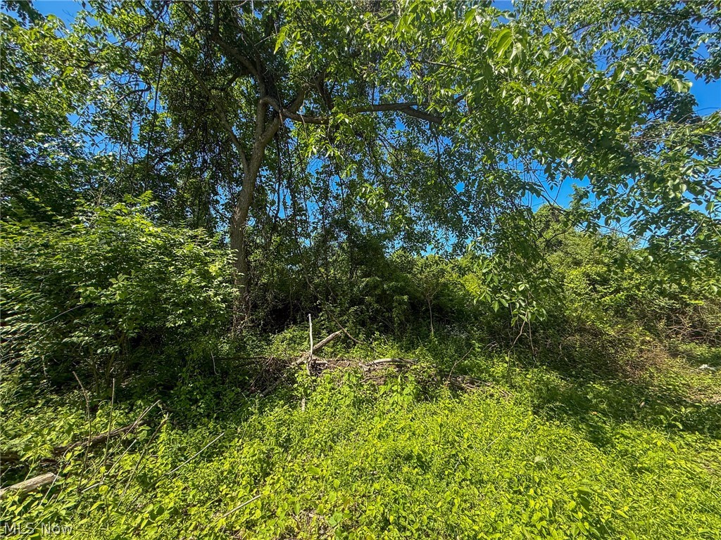 Lot 3 Altamont Road Mingo Junction OH 43938