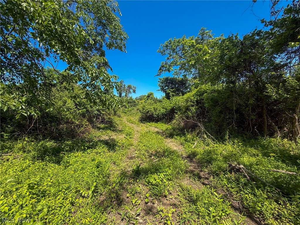 Lot 3 Altamont Road Mingo Junction OH 43938