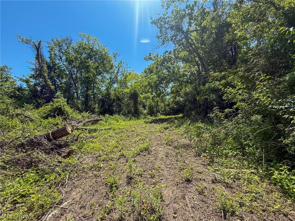 Lot 3 Altamont Road Mingo Junction OH 43938
