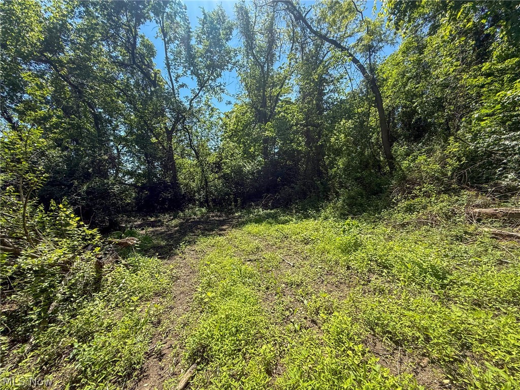 Lot 3 Altamont Road Mingo Junction OH 43938
