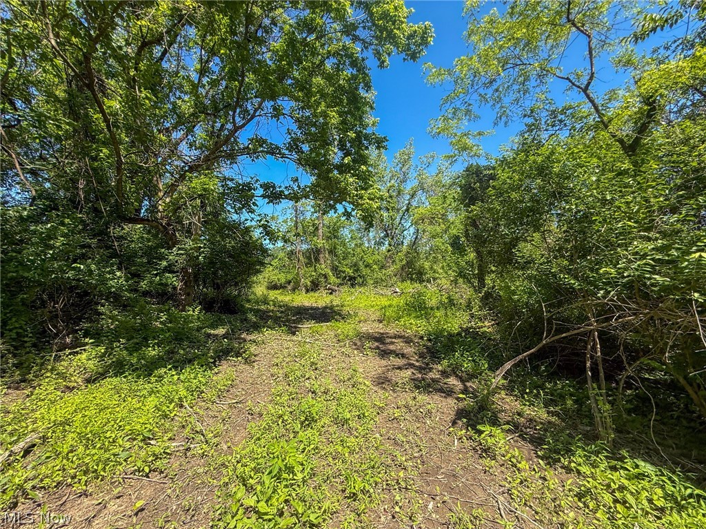 Lot 3 Altamont Road Mingo Junction OH 43938