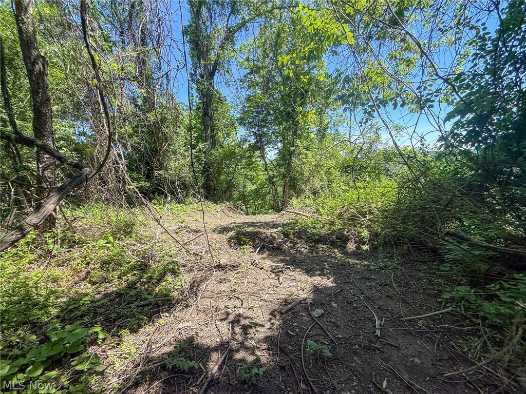 Lot 3 Altamont Road Mingo Junction OH 43938