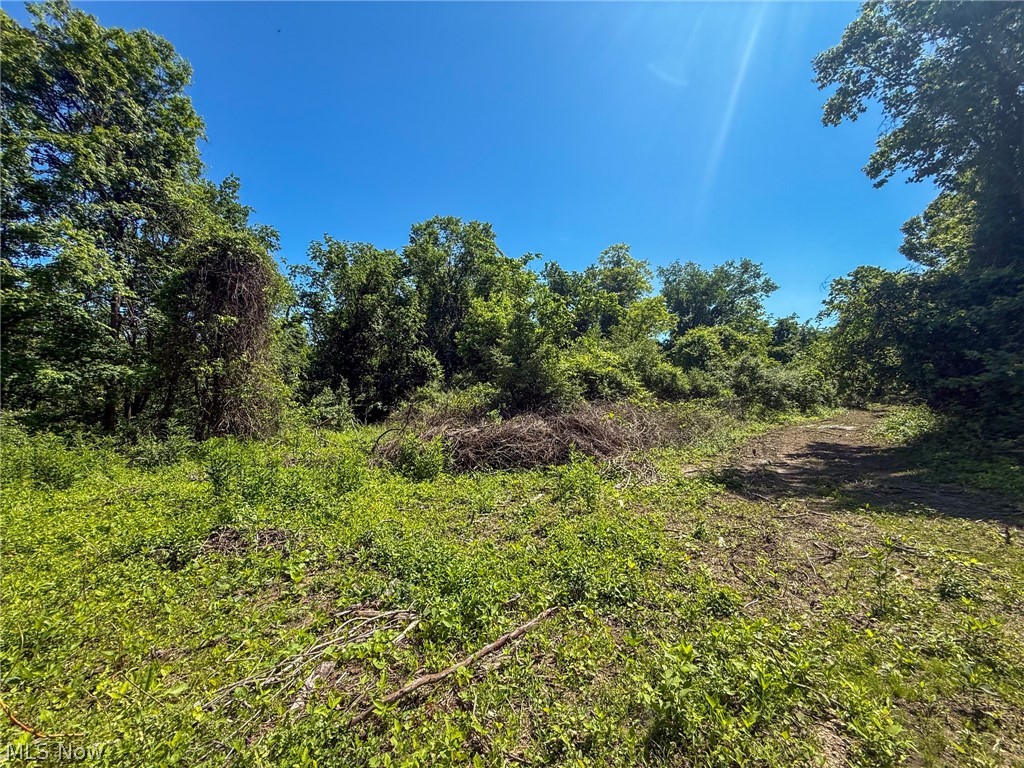 Lot 3 Altamont Road Mingo Junction OH 43938