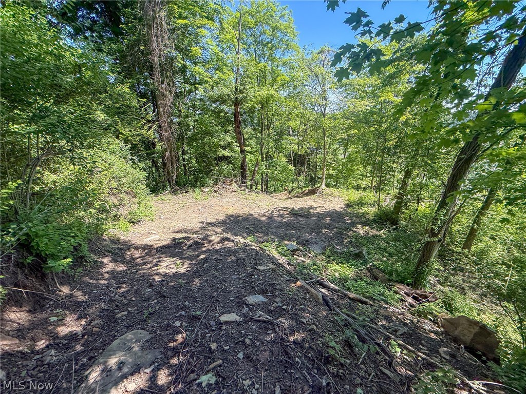 Lot 3 Altamont Road Mingo Junction OH 43938