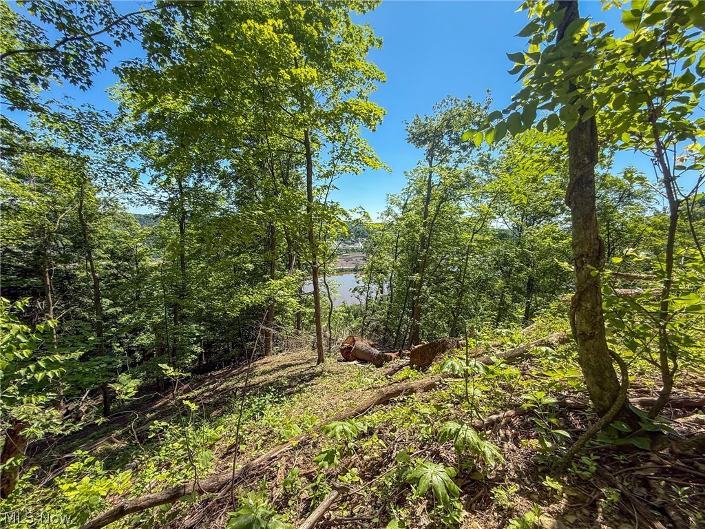 Lot 3 Altamont Road Mingo Junction OH 43938