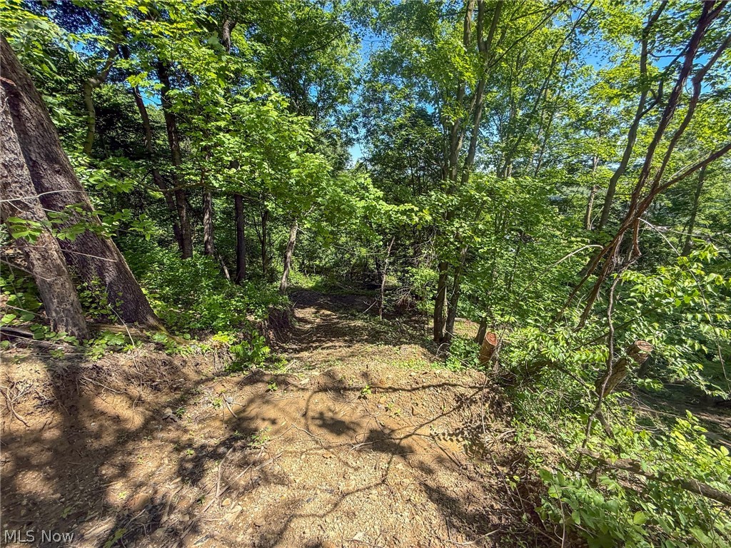 Lot 3 Altamont Road Mingo Junction OH 43938