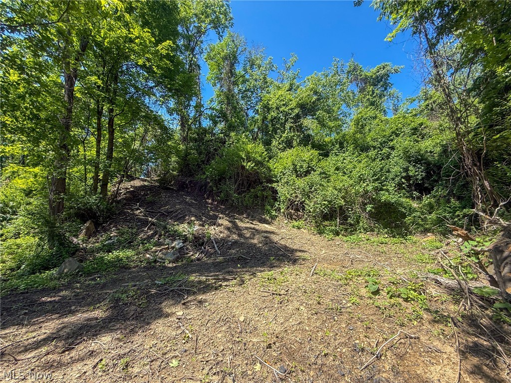 Lot 3 Altamont Road Mingo Junction OH 43938