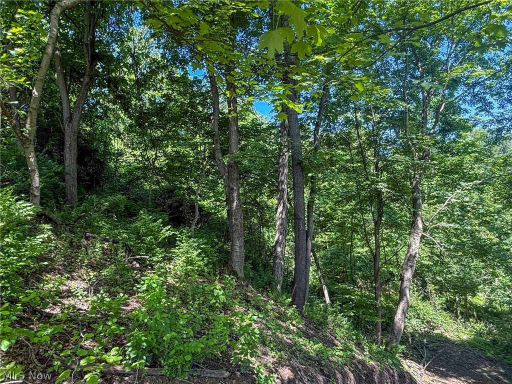 Lot 3 Altamont Road Mingo Junction OH 43938