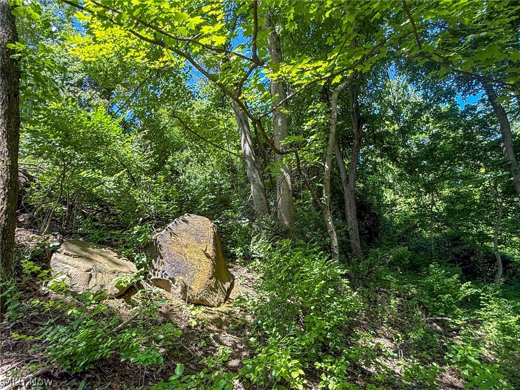 Lot 3 Altamont Road Mingo Junction OH 43938